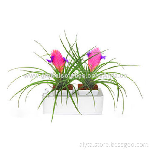 Intelligent Control Technology and Planting Techniques, Smart Mini Garden Household Items